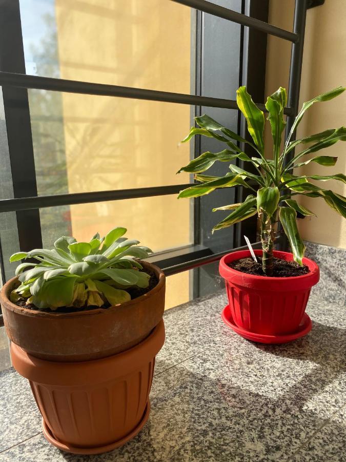 Appartamento Eliana อัสตี ภายนอก รูปภาพ